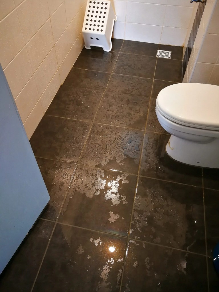 d&eacute;couvrez les meilleures solutions anti-humidit&eacute; pour salles de bain dans le 9e arrondissement : conseils pratiques, produits efficaces et astuces pour garder votre salle de bain saine et sans moisissures.