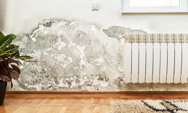prot&eacute;gez vos murs de l&rsquo;humidit&eacute; dans le 9e arrondissement de paris avec une peinture anti-humidit&eacute; efficace. solutions sur mesure, devis rapide, intervention professionnelle et durable pour votre logement ou local.