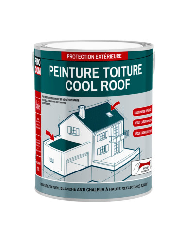 prot&eacute;gez vos murs de l'humidit&eacute; avec notre peinture anti-humidit&eacute; &agrave; paris 9. solutions efficaces, durables et professionnelles pour un int&eacute;rieur sain. devis gratuit !