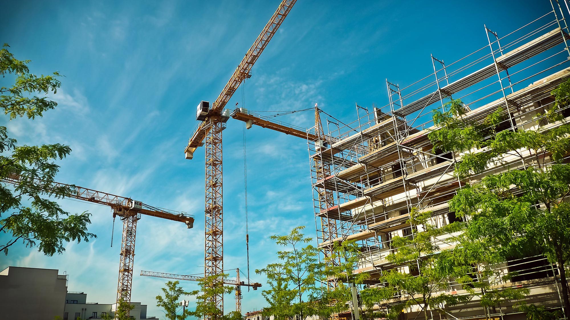 confiez la r&eacute;novation de votre b&acirc;timent &agrave; paris &agrave; des professionnels exp&eacute;riment&eacute;s. qualit&eacute;, conseils personnalis&eacute;s et respect des d&eacute;lais pour tous vos projets de r&eacute;novation immobili&egrave;re.